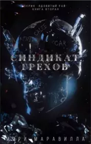 Синдикат грехов. Мэри Маравилла