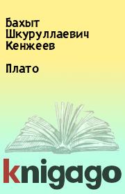 Книга - Плато.  Бахыт Шкуруллаевич Кенжеев  - прочитать полностью в библиотеке КнигаГо