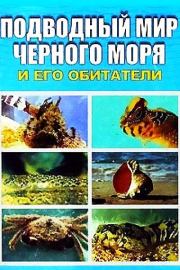 Подводный мир Черного моря. Евгения П Искив