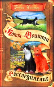 Месть Звездного Луча. Книга 2. Воссоединение. Эрин Хантер