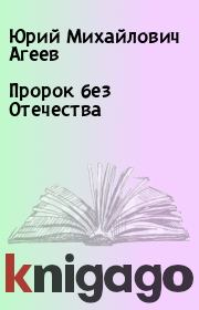 Книга - Пророк без Отечества.  Юрий Михайлович Агеев  - прочитать полностью в библиотеке КнигаГо