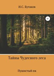 Книга - Тайны Чудесного леса. Пушистый ёж.  Иван Сергеевич Бутаков  - прочитать полностью в библиотеке КнигаГо