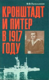 Книга - Кронштадт и Питер в 1917 году.  Федор Федорович Раскольников  - прочитать полностью в библиотеке КнигаГо