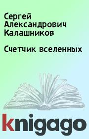 Книга - Счетчик вселенных.  Сергей Александрович Калашников  - прочитать полностью в библиотеке КнигаГо
