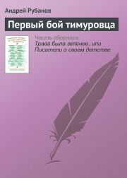 Книга - Первый бой тимуровца.  Андрей Викторович Рубанов  - прочитать полностью в библиотеке КнигаГо