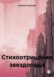 Книга - Стихоотрицание звездопада.  Александр Бурлаков  - прочитать полностью в библиотеке КнигаГо