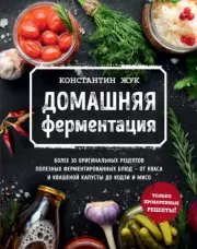 Книга - Домашняя ферментация.  Константин Витальевич Жук  - прочитать полностью в библиотеке КнигаГо