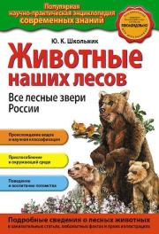 Книга - Животные наших лесов. Все лесные звери России.  Юлия Константиновна Школьник  - прочитать полностью в библиотеке КнигаГо