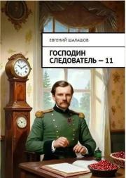 Господин следователь. Книга 11 (СИ). Евгений Васильевич Шалашов