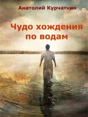 Книга - Чудо хождения по водам.  Анатолий Николаевич Курчаткин  - прочитать полностью в библиотеке КнигаГо