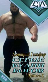 Серые будни богов: Книга 1. Дмитрий Гельфер