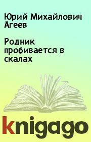 Книга - Родник пробивается в скалах.  Юрий Михайлович Агеев  - прочитать полностью в библиотеке КнигаГо