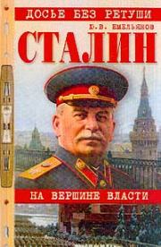Книга - Сталин. На вершине власти.  Юрий Васильевич Емельянов  - прочитать полностью в библиотеке КнигаГо