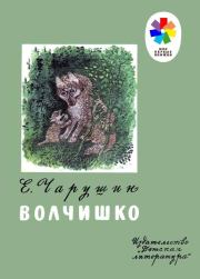 Книга - Волчишко.  Евгений Иванович Чарушин  - прочитать полностью в библиотеке КнигаГо