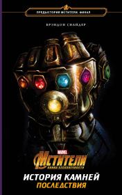 Мстители. Война Бесконечности. История Камней. Последствия. Брэндон Снайдер