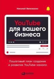 YouTube для вашего бизнеса. Пошаговый план создания и развития YouTube-канала (СИ). Николай Велижанин