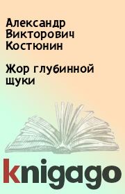 Книга - Жор глубинной щуки.  Александр Викторович Костюнин  - прочитать полностью в библиотеке КнигаГо