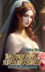 Книга - Эльфийское приключение беглой невесты (СИ).    (Caitlin King)  - прочитать полностью в библиотеке КнигаГо
