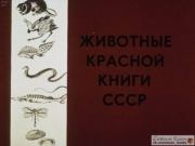 Животные Красной книги СССР. С. Ошанин
