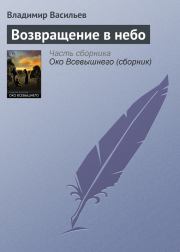 Книга - Возвращение в небо.  Владимир Николаевич Васильев  - прочитать полностью в библиотеке КнигаГо