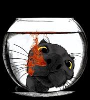 Пус Мидун (СИ). Михаил Юрьевич Рыбка