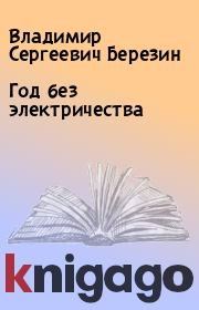 Книга - Год без электричества.  Владимир Сергеевич Березин  - прочитать полностью в библиотеке КнигаГо