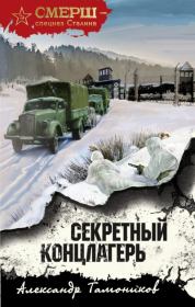 Книга - Секретный концлагерь.  Александр Александрович Тамоников  - прочитать полностью в библиотеке КнигаГо