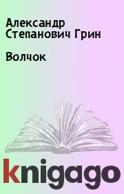 Книга - Волчок.  Александр Степанович Грин  - прочитать полностью в библиотеке КнигаГо