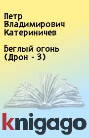 Книга - Беглый огонь (Дрон - 3).  Петр Владимирович Катериничев  - прочитать полностью в библиотеке КнигаГо