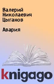 Книга - Авария.  Валерий Николаевич Цыганов  - прочитать полностью в библиотеке КнигаГо