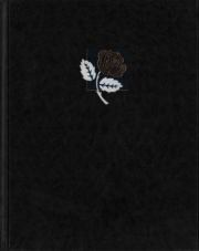 Энциклопедия для детей. Том 43. Ботаника.  Энциклопедия для детей Аванта+