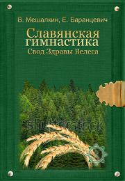 Славянская гимнастика. Свод Здравы Велеса. Евгений Робертович Баранцевич
