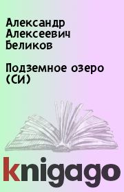 Книга - Подземное озеро (СИ).  Александр Алексеевич Беликов  - прочитать полностью в библиотеке КнигаГо