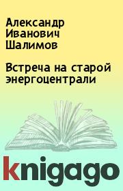 Книга - Встреча на старой энергоцентрали.  Александр Иванович Шалимов  - прочитать полностью в библиотеке КнигаГо