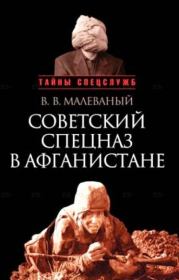 Книга - Советский спецназ в Афганистане.  Валерий Васильевич Малеваный  - прочитать полностью в библиотеке КнигаГо