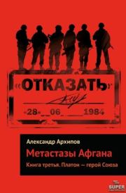 Книга - Платон – герой Союза.  Александр Васильевич Архипов  - прочитать полностью в библиотеке КнигаГо
