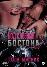 Под слезами Бостона. Часть 1. Таша Мисник