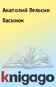 Книга - Пасынок.  Анатолий Пельсин  - прочитать полностью в библиотеке КнигаГо