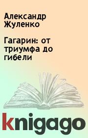 Книга - Гагарин: от триумфа до гибели.  Александр Жуленко  - прочитать полностью в библиотеке КнигаГо