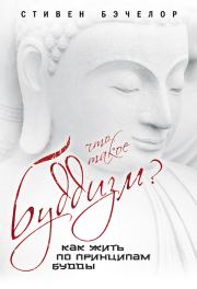 Что такое буддизм? Как жить по принципам Будды. Стивен Бэчелор