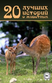 Книга - 20 лучших историй о животных.   Коллектив авторов  - прочитать полностью в библиотеке КнигаГо