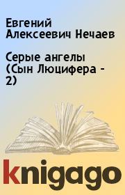 Книга - Серые ангелы (Сын Люцифера - 2).  Евгений Алексеевич Нечаев  - прочитать полностью в библиотеке КнигаГо