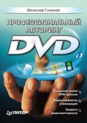 Книга - Профессиональный авторинг DVD.  Вячеслав Голиней  - прочитать полностью в библиотеке КнигаГо