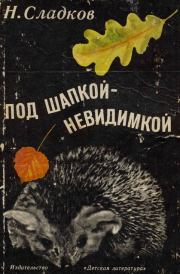 Книга - Под шапкой-невидимкой.  Николай Иванович Сладков  - прочитать полностью в библиотеке КнигаГо