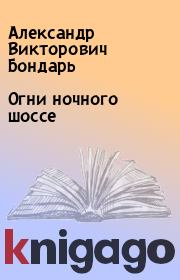 Книга - Огни ночного шоссе.  Александр Викторович Бондарь  - прочитать полностью в библиотеке КнигаГо