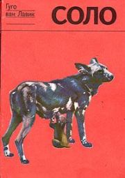 Книга - Соло. История щенка гиеновой собаки.  Гуго Ван Лавик , Джейн Ван Лавик-Гудолл  - прочитать полностью в библиотеке КнигаГо