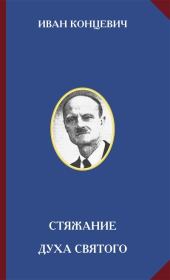 Книга - Стяжание Духа Святого.  Иван Михайлович Концевич  - прочитать полностью в библиотеке КнигаГо