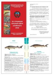 По страницам Красной книги Алтайского края. Коллектив авторов