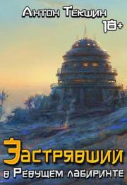 Застрявший в Ревущем лабиринте. Антон Викторович Текшин