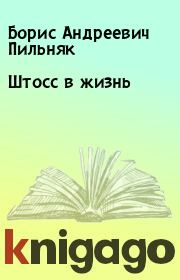 Книга - Штосс в жизнь.  Борис Андреевич Пильняк  - прочитать полностью в библиотеке КнигаГо